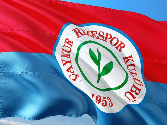 奏的重要棋 奏的重要棋