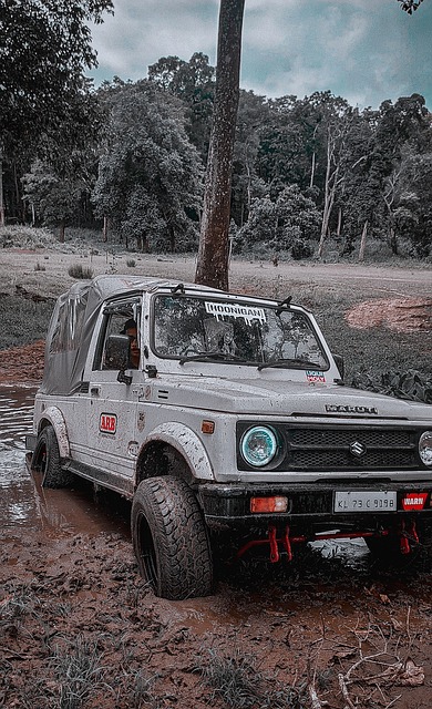 力和替补之 力和替补之