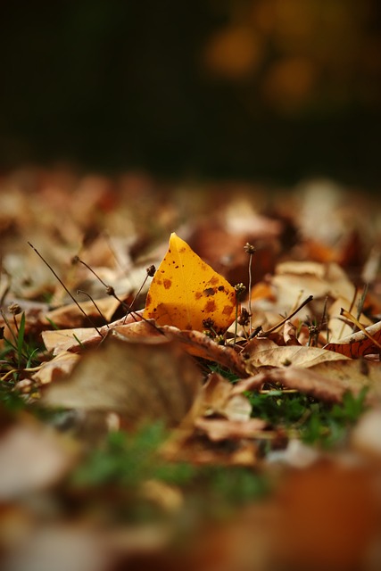 这不仅全面 这不仅全面