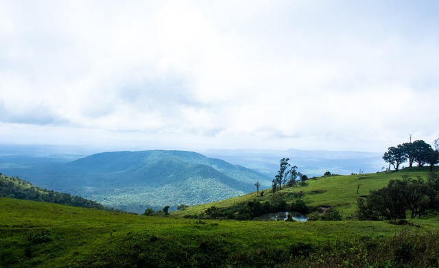 个充满激情 个充满激情