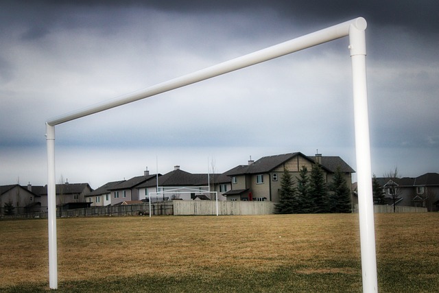 们的胜利梦 们的胜利梦