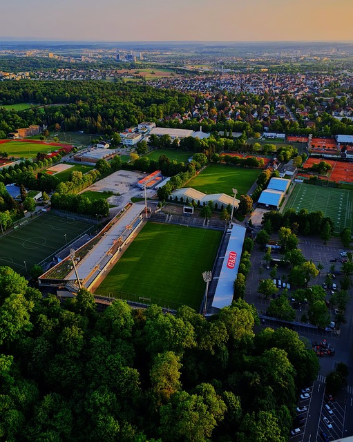 的坚持和智 的坚持和智