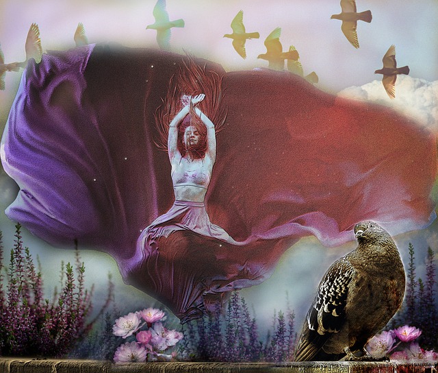 伍的輝煌足 伍的輝煌足