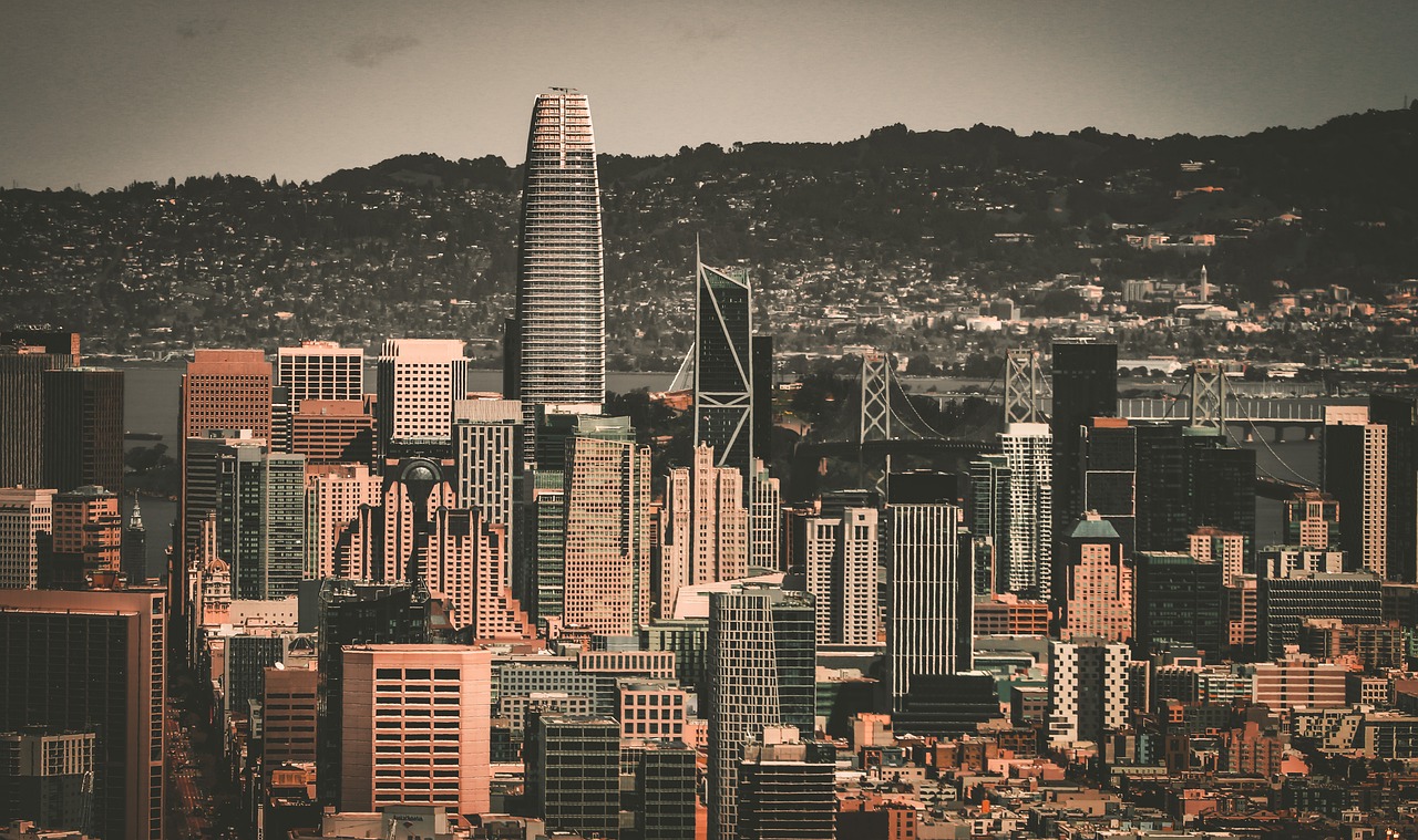 赛事的代表 赛事的代表