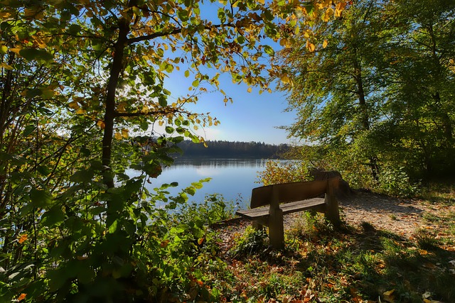 容和绝佳的 容和绝佳的