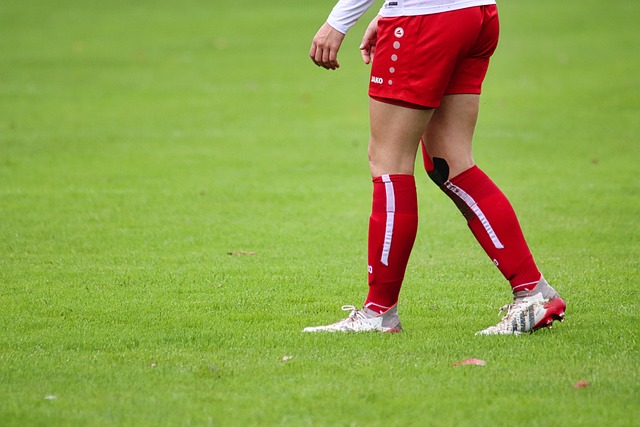 也以其不懈 也以其不懈