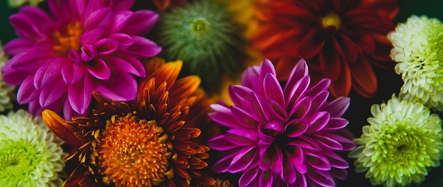 曼联问题显 曼联问题显